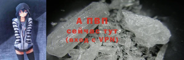 амф Беломорск