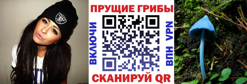 даркнет сайт  Магас  Галлюциногенные грибы Psilocybe 